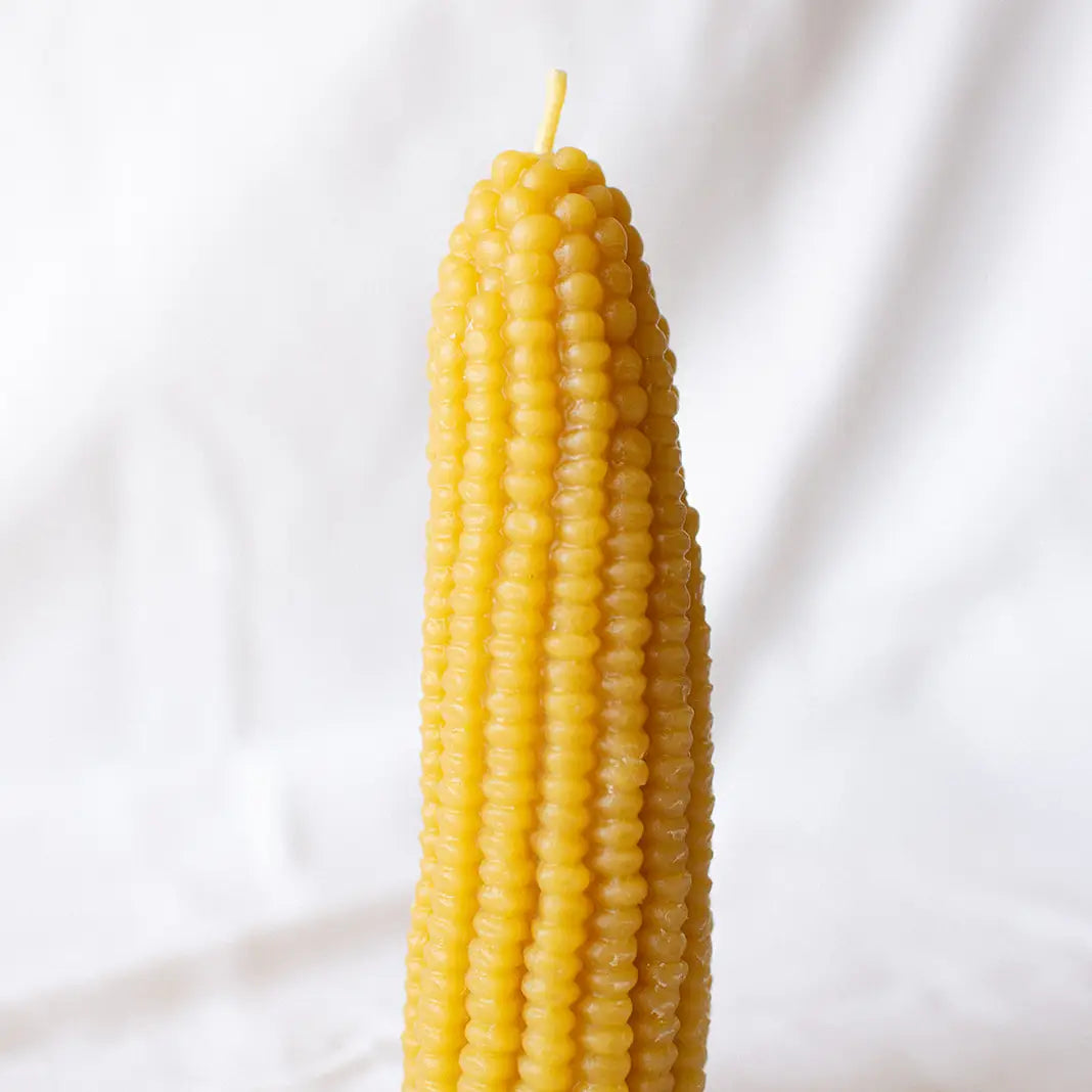 Yellow Corn Cob